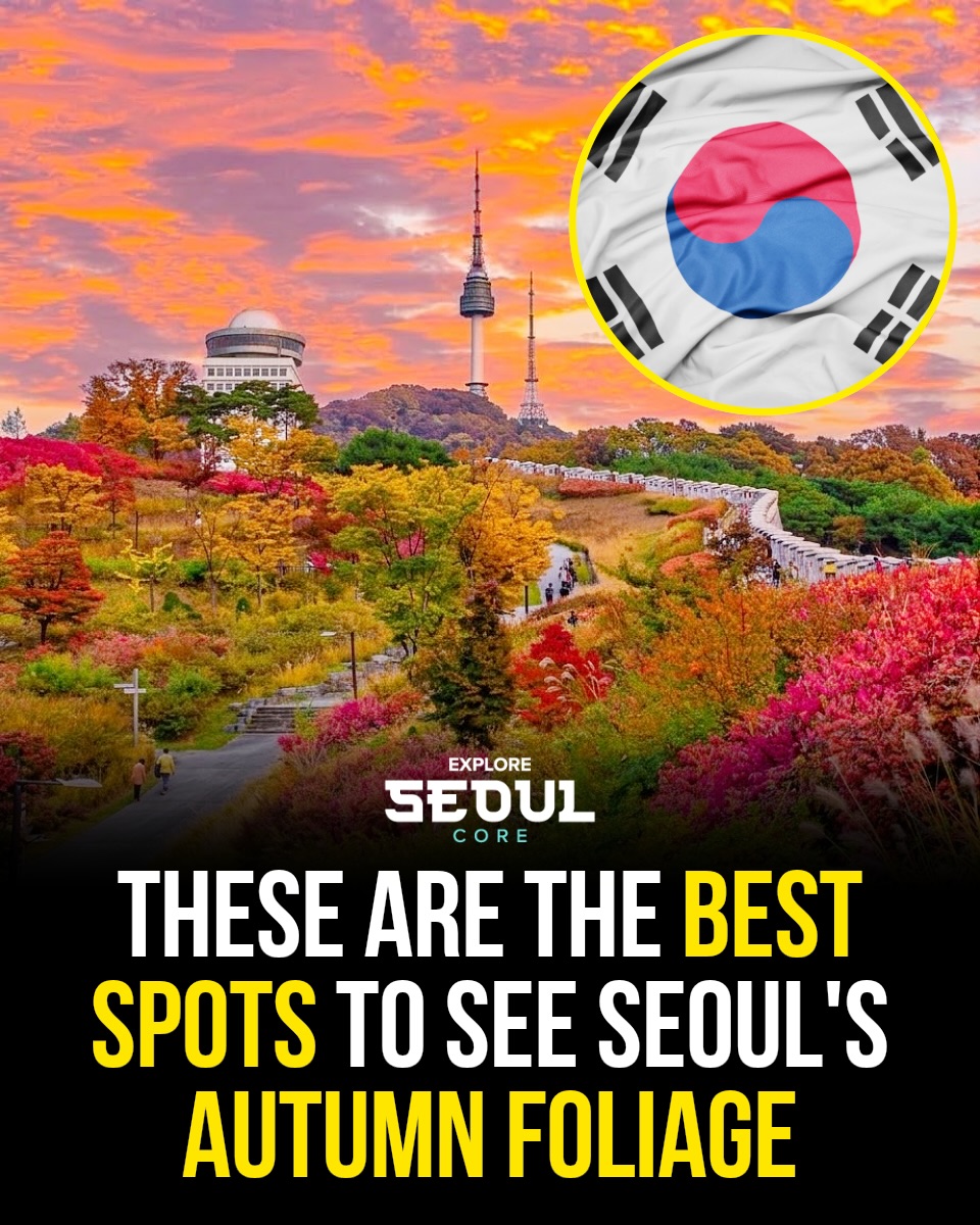 Seoul 🇰🇷 서울 여행 가이드 Travel | Hotels | Food | Tips, N Seoul Tower