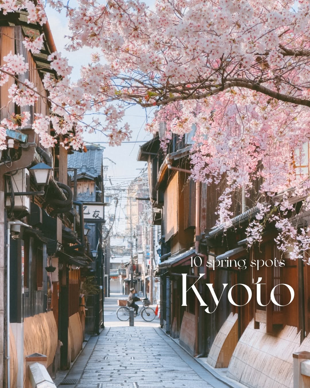 𝐂𝐢𝐧𝐝𝐲🌼, Ninenzaka