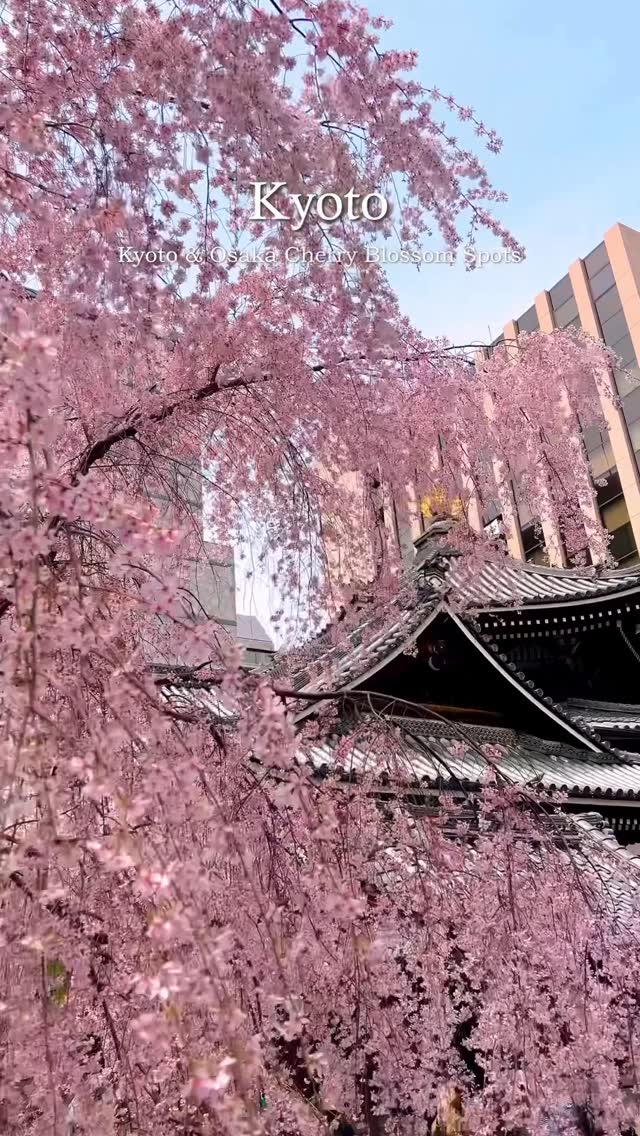 윤스✈️ | 여행•카페•스팟 추천, Sannenzaka