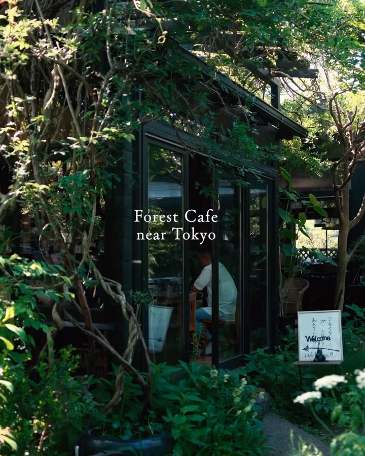 Tokyo, Japan🇯🇵 东京 Travel | Hotels | Food | Tips 🗼, TWELVE GARDENS BAR & GRILL