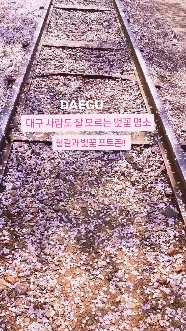 플로르 [𝑭𝒍𝒐𝒓], Daegu 83 Tower