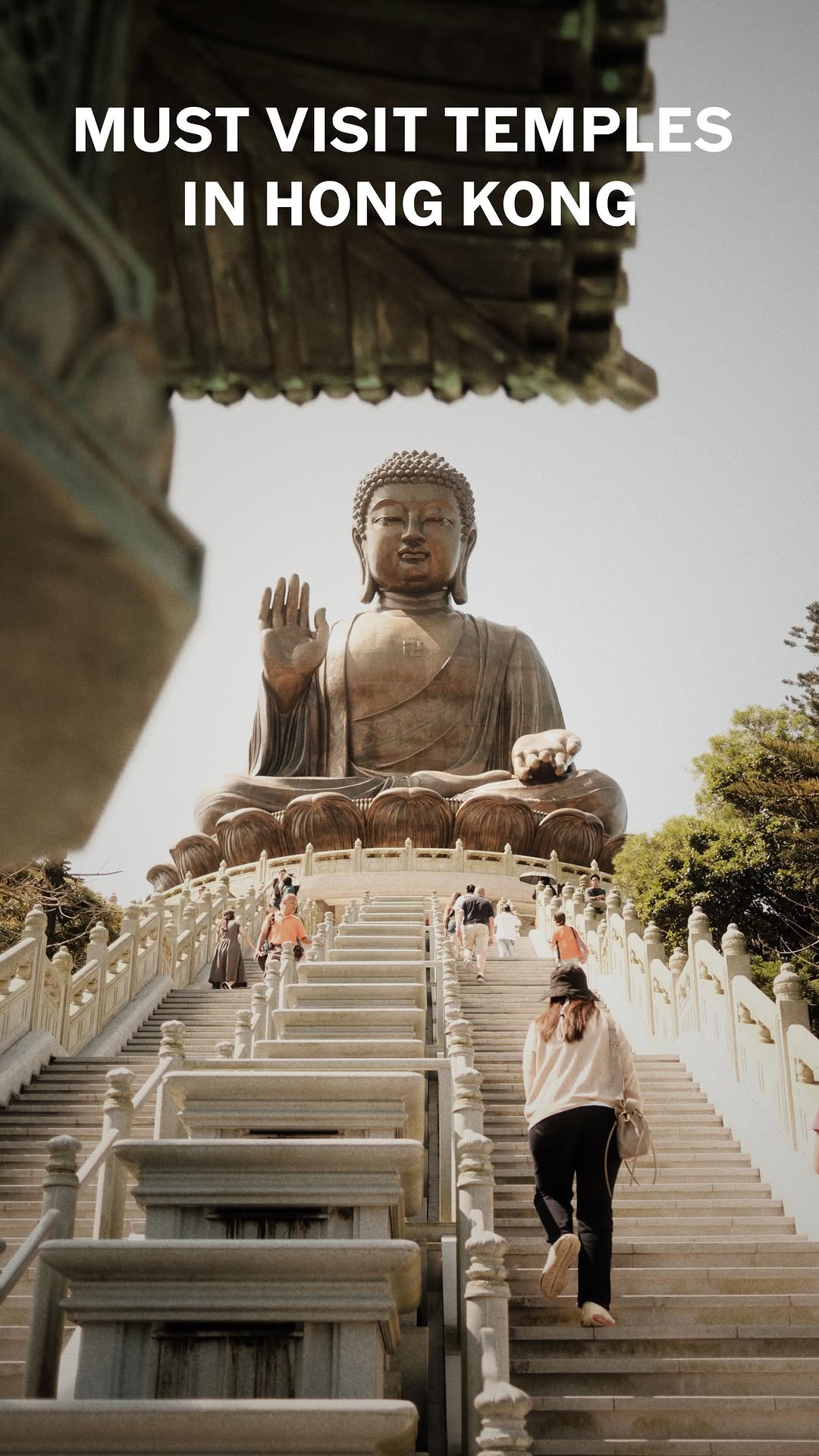Diana Wasilewska 🪬, Tian Tan Buddha
