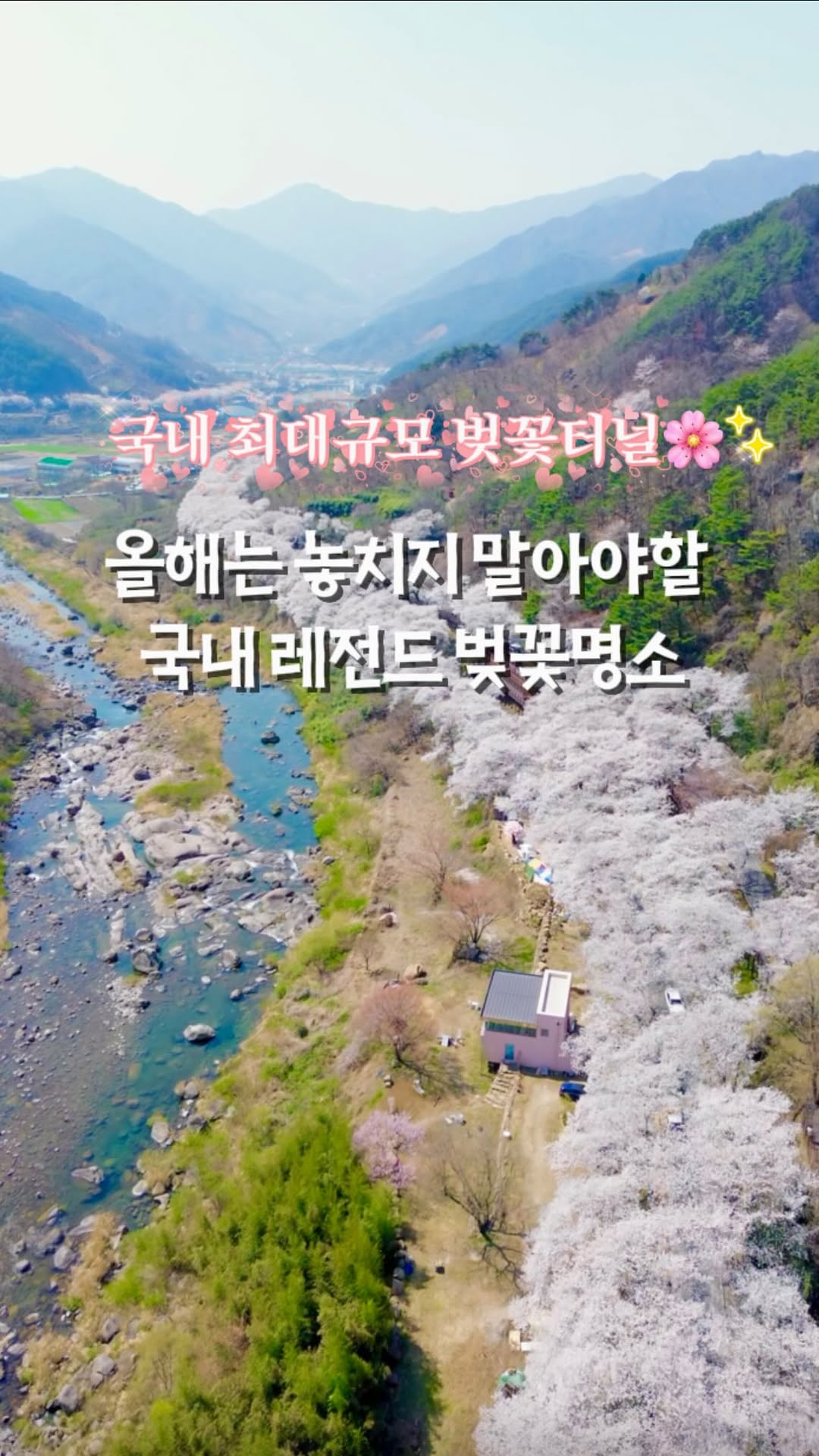 헤라테라| 여행크리에이터🌸, 십리벚꽃길