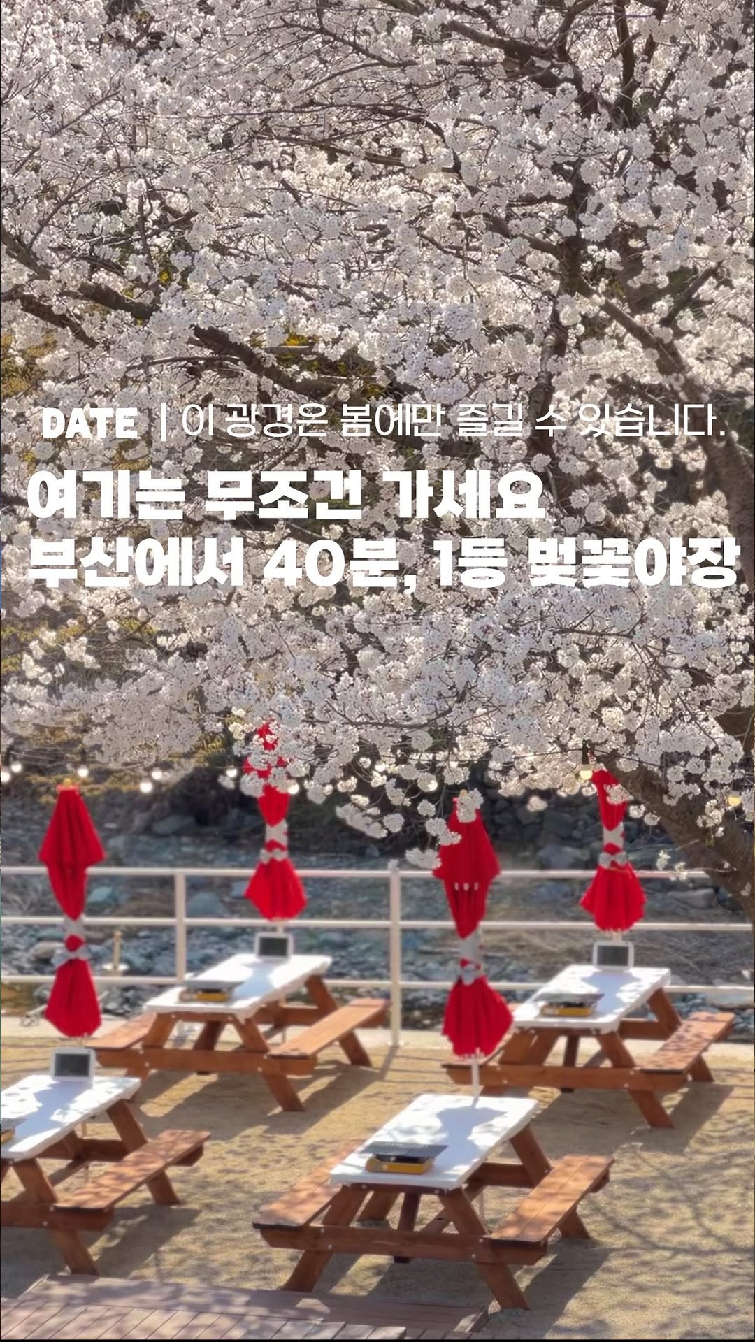 래윤 • 부산데이트 부산카페 부산여행, Busan