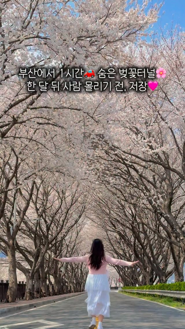 선화ㅣ부산핫플•카페•여행•데이트, Yeongnamnu