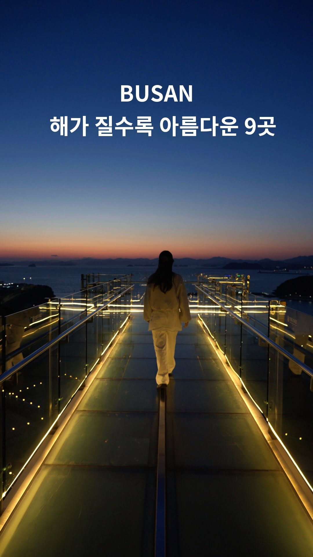 라이언픽 | 카페 · 숙소 · 여행, 아브니르
