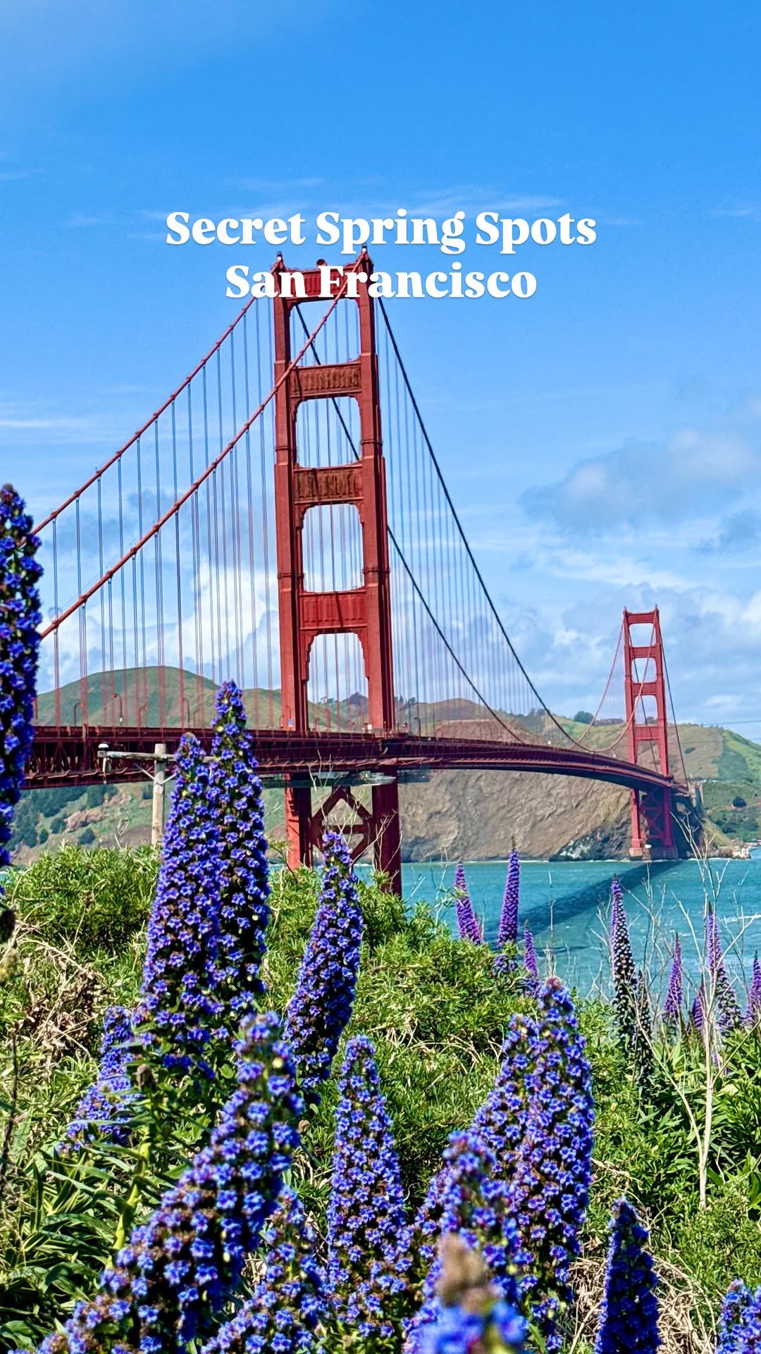 Manni | Travel | San Francisco | Bay Area, Palace of Fine Arts