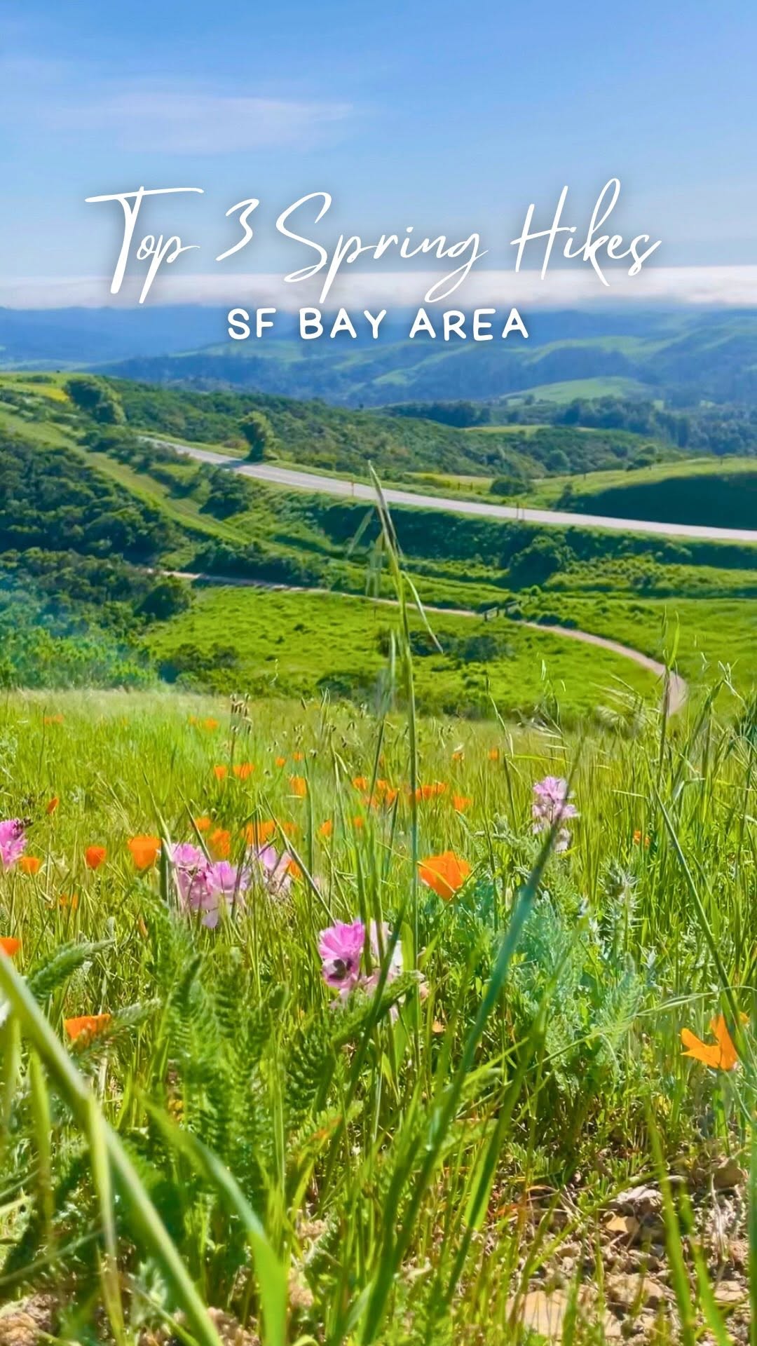 Manni | Travel | San Francisco | Bay Area, Máyyan 'Ooyákma – Coyote Ridge Open Space Preserve