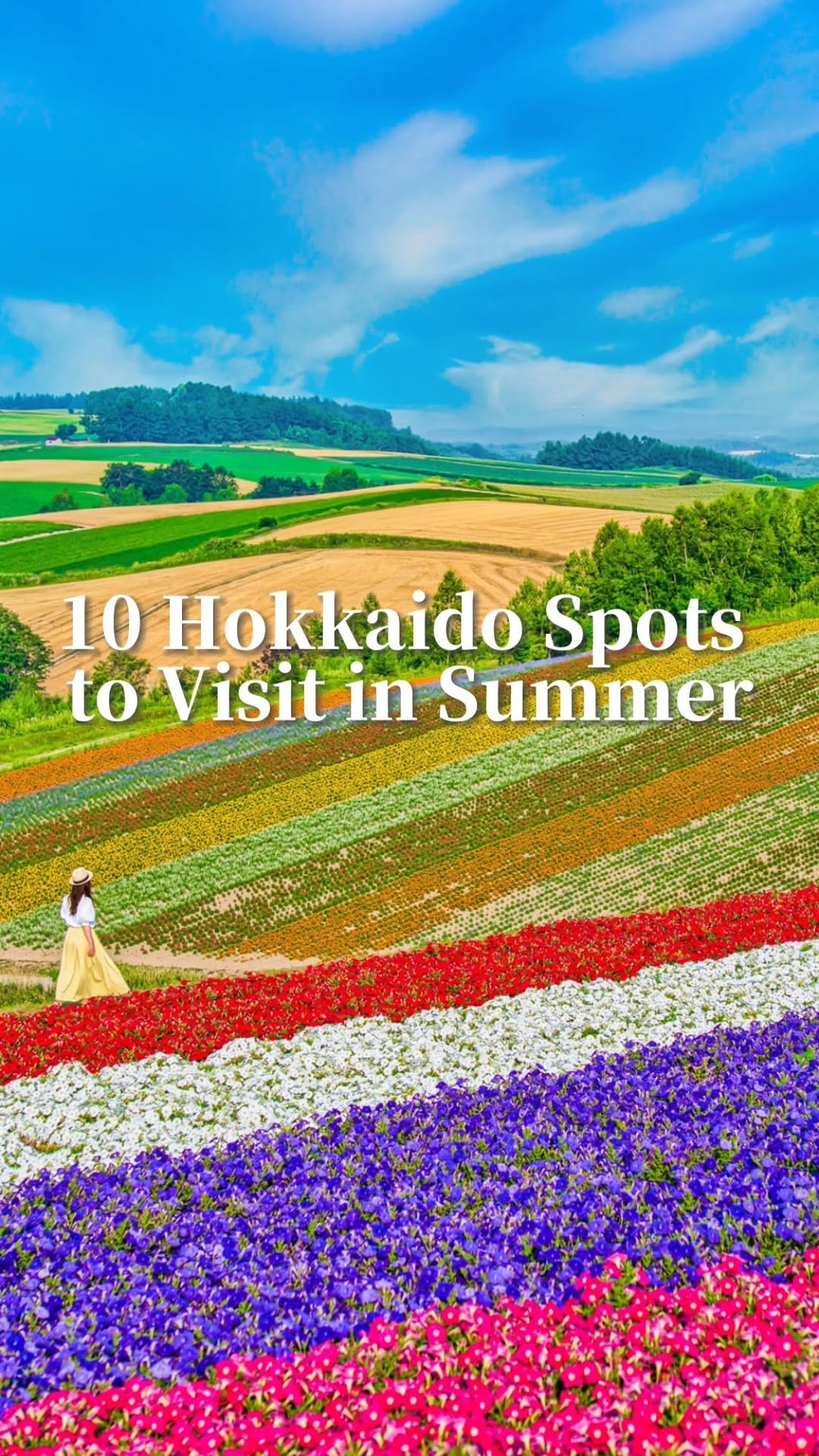 Unique Japan Travel / 日常に旅を, Panoramic Flower Gardens Shikisai-no-oka