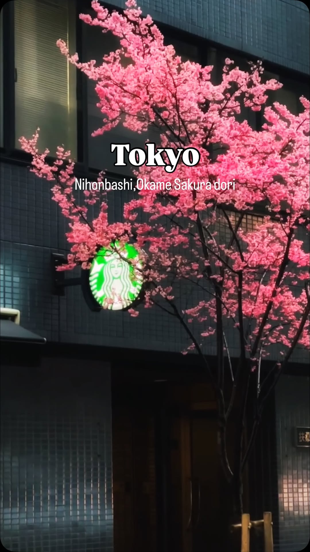 Mahfi’s Quest, Nihonbashi