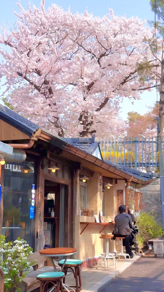 은영 | 은은한 일상, Jeongdok Public Library