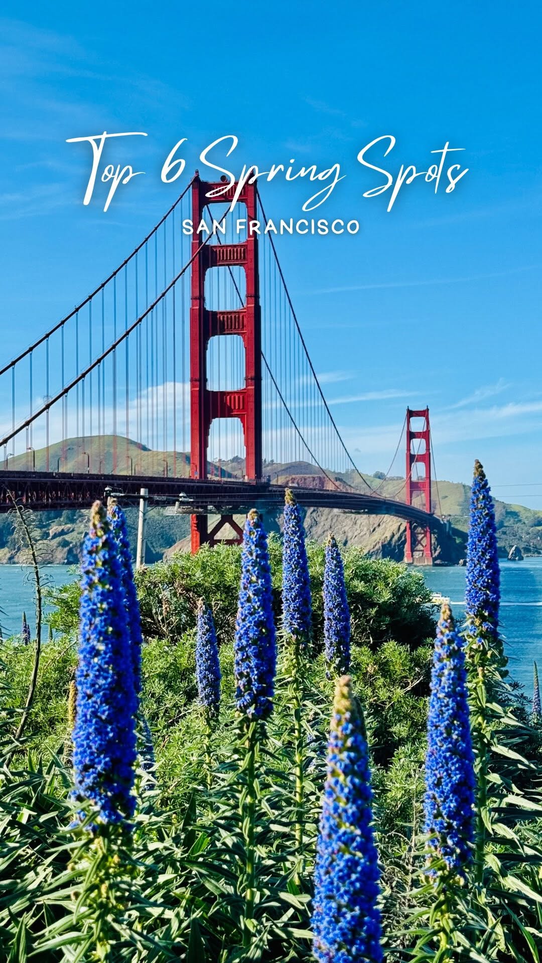 Manni | Travel | San Francisco | Bay Area, Golden Gate Bridge