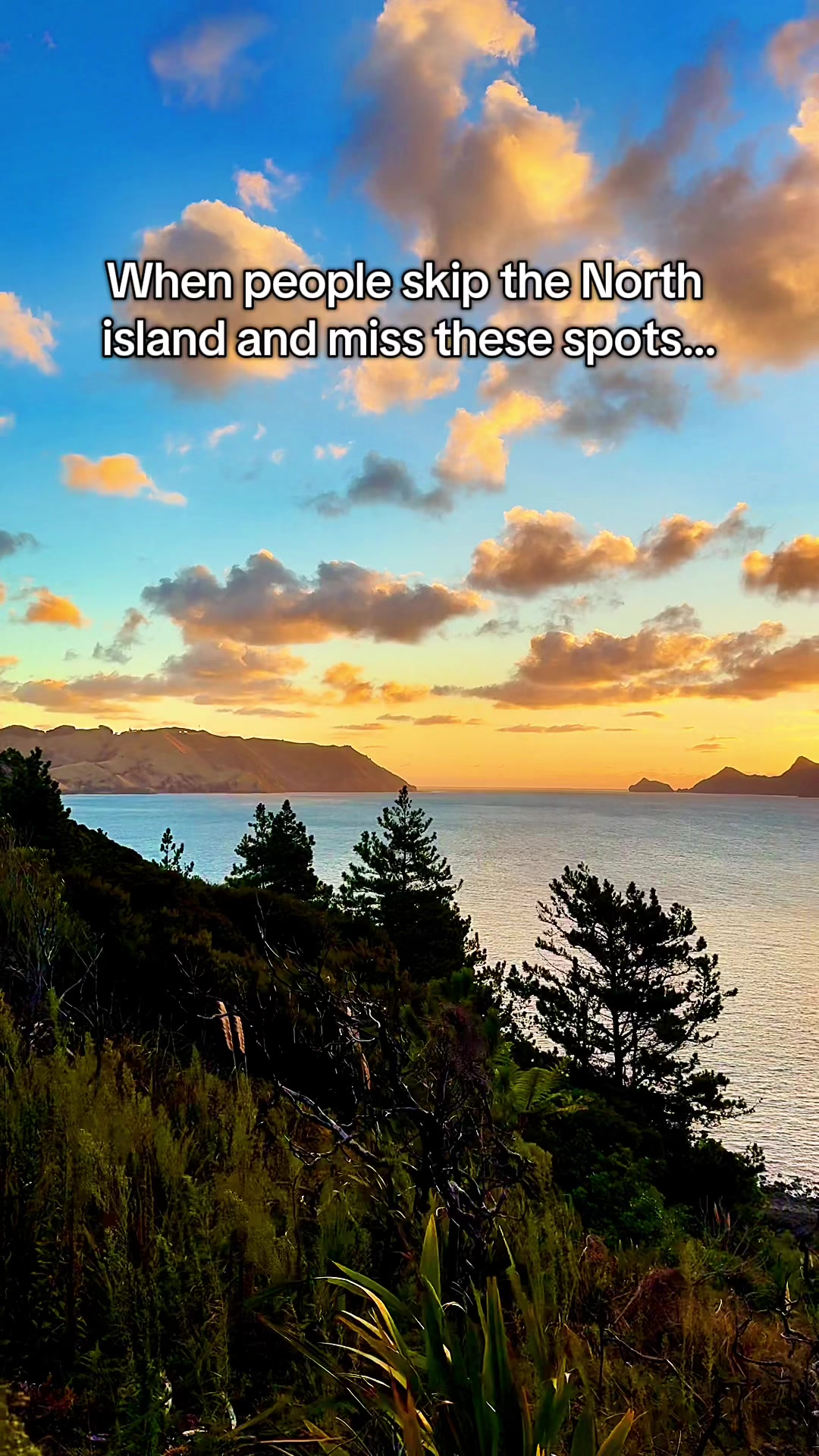 Karina | Travel 🌻✨🚌, Waiheke Island