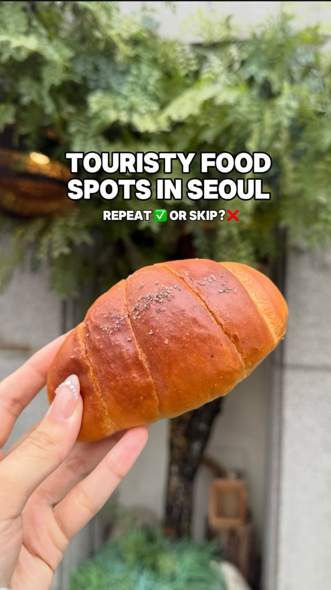 Cins | Sydney Creator, Myeongdong Kyoja Main Restaurant