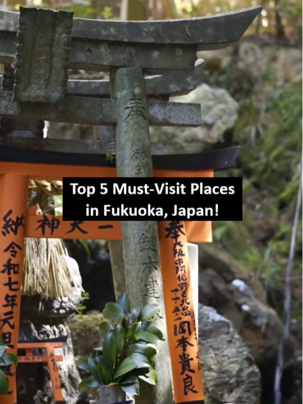 High 5ive Travels, Fukuoka Castle Ruins