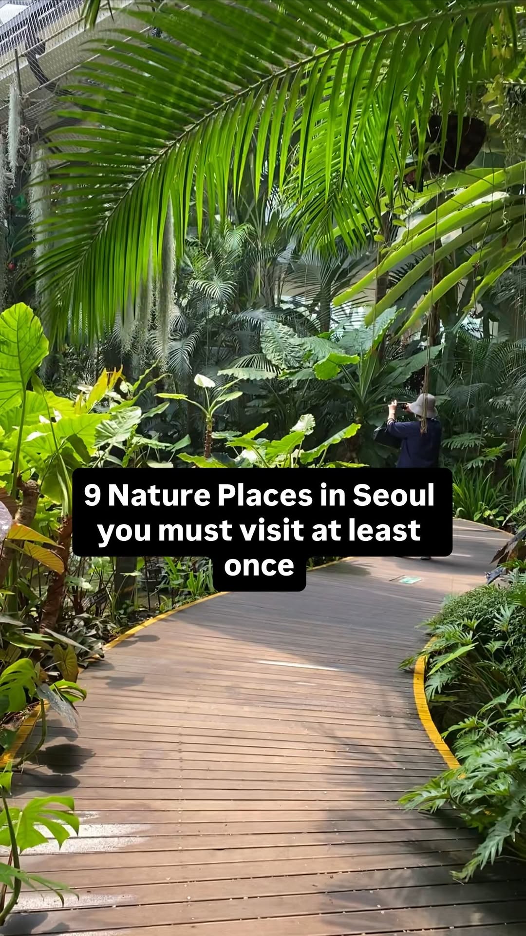 Things to Do in Korea • London • Hidden Gems, Changdeokgung
