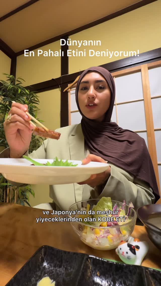 Dilara Özkan •TRAVELER ✧☽, Japan