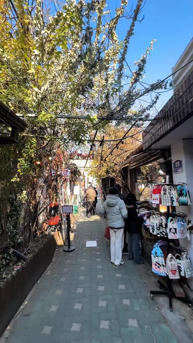 Vika 비카 | vikavisits, Insa-dong
