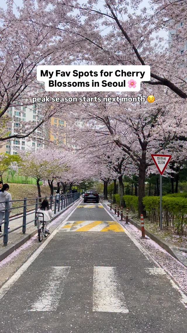 Deborah in Korea (데보라), Gwanggyo Lake Park