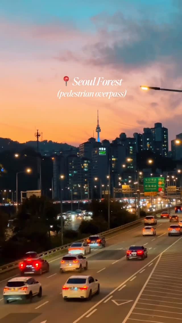 Korea Undiscovered, Seoul Forest Park