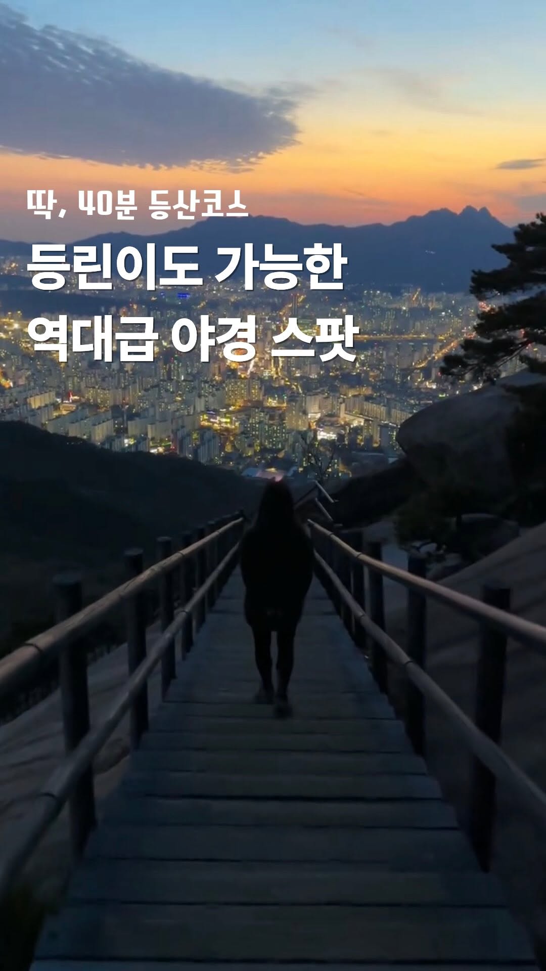 디노 Lee DoHyun | 여행 숙소 아웃도어, Victoria Peak