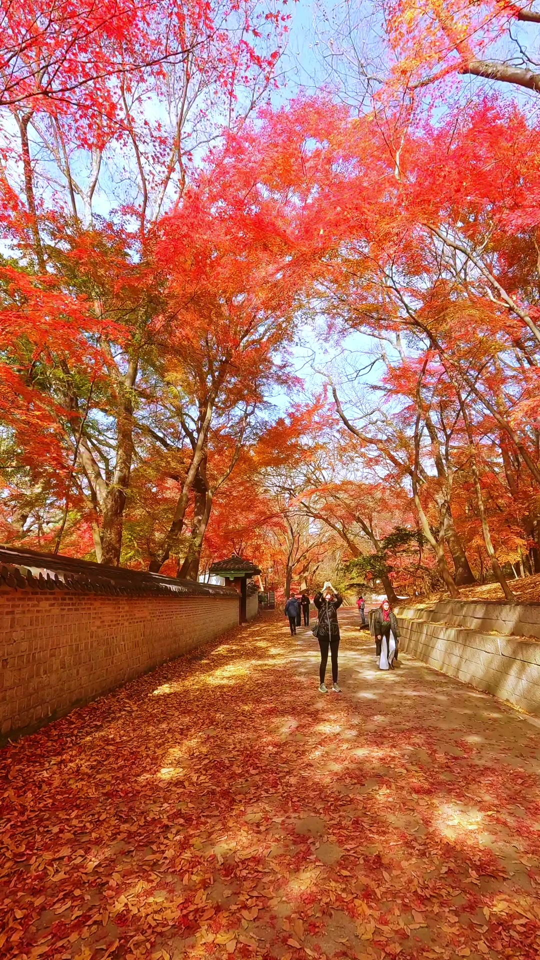 myspotlog, Changdeokgung