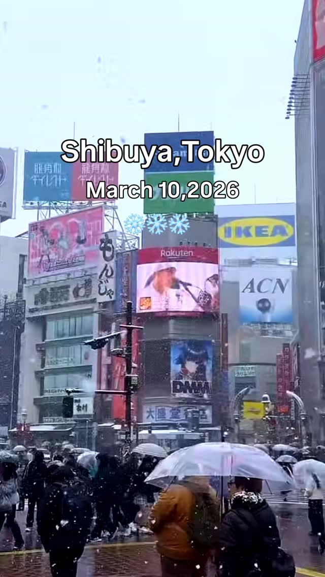 Mahfi’s Quest, Shibuya Scramble Crossing