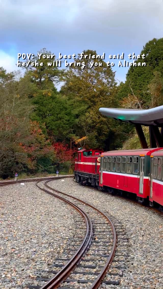 凱文文文文, Tea Trail