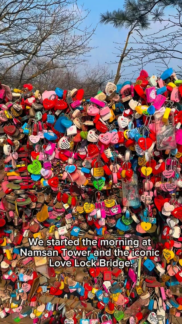Hannah 🦩, N Seoul Tower