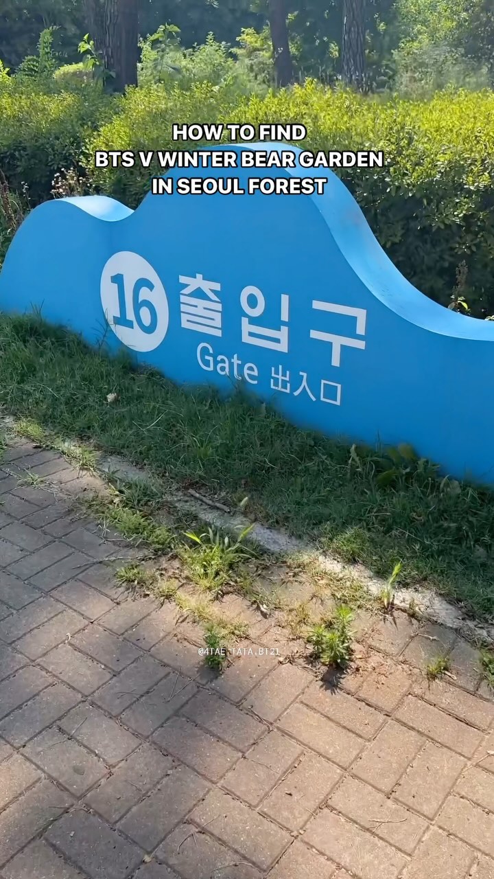 Millie B ~ BTS Army (Check my IG stories), Seoul Forest Park