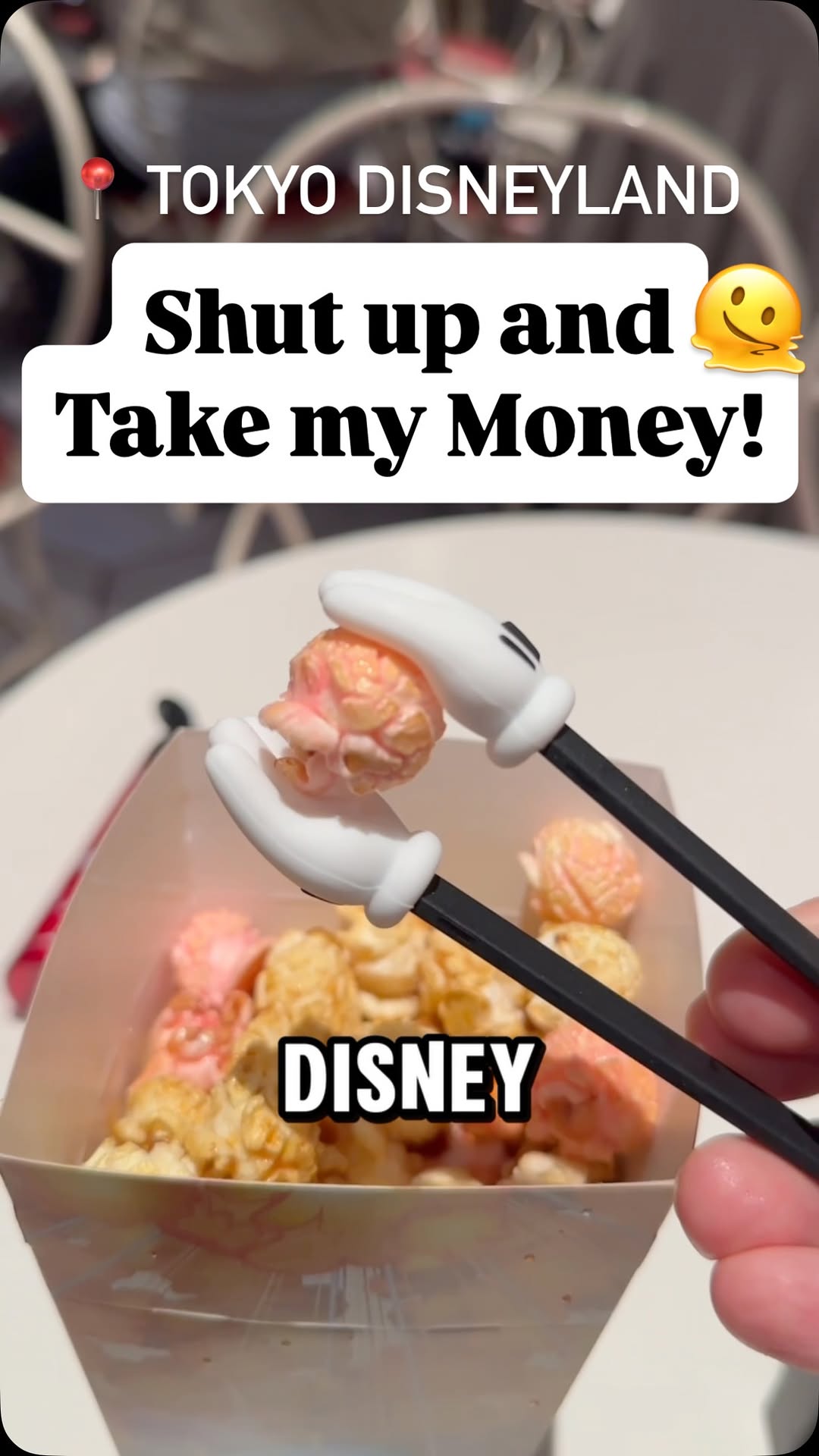 Chris, Tokyo Disneyland