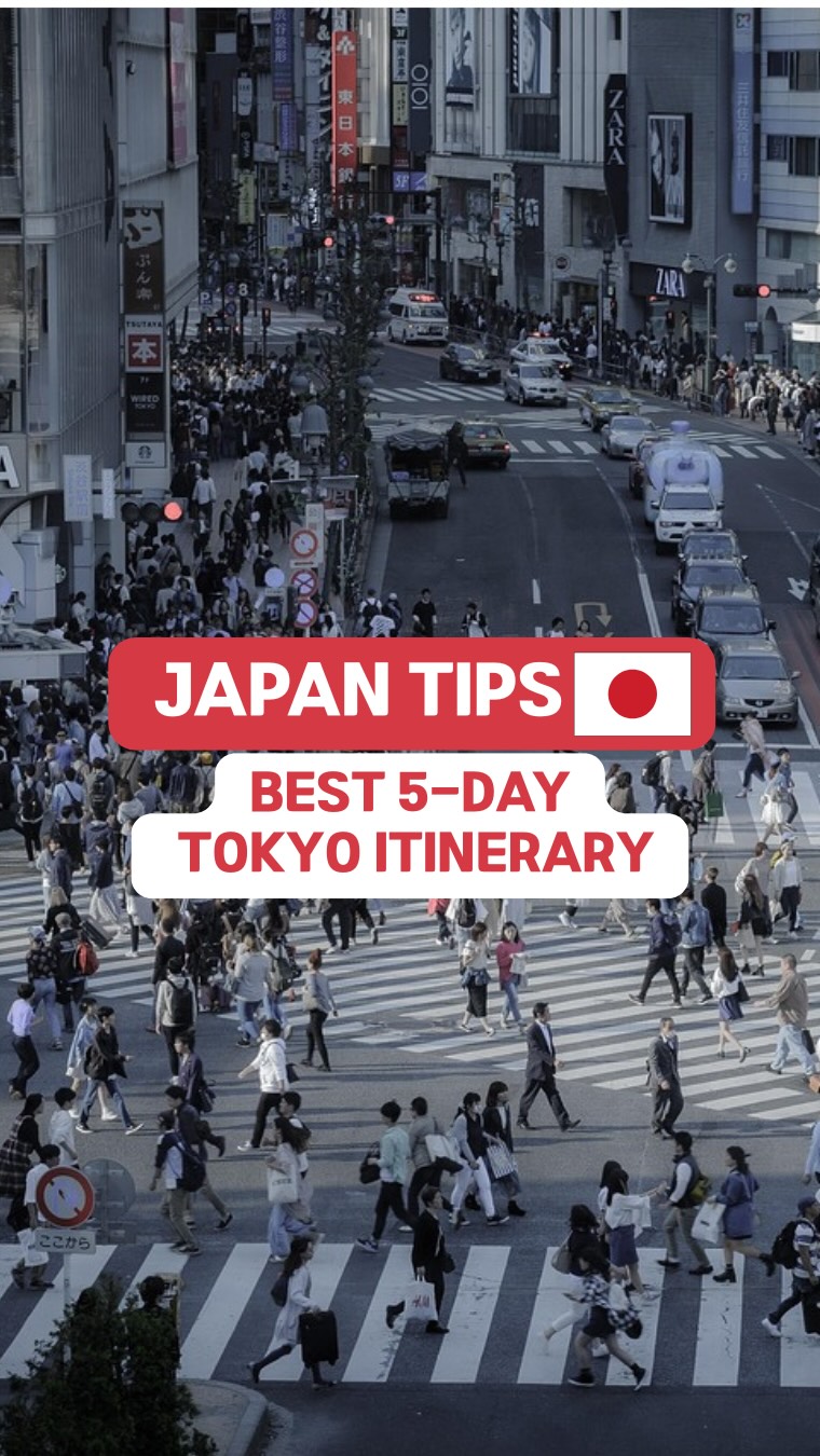 Japanese Food Stories, Shibuya Scramble Crossing