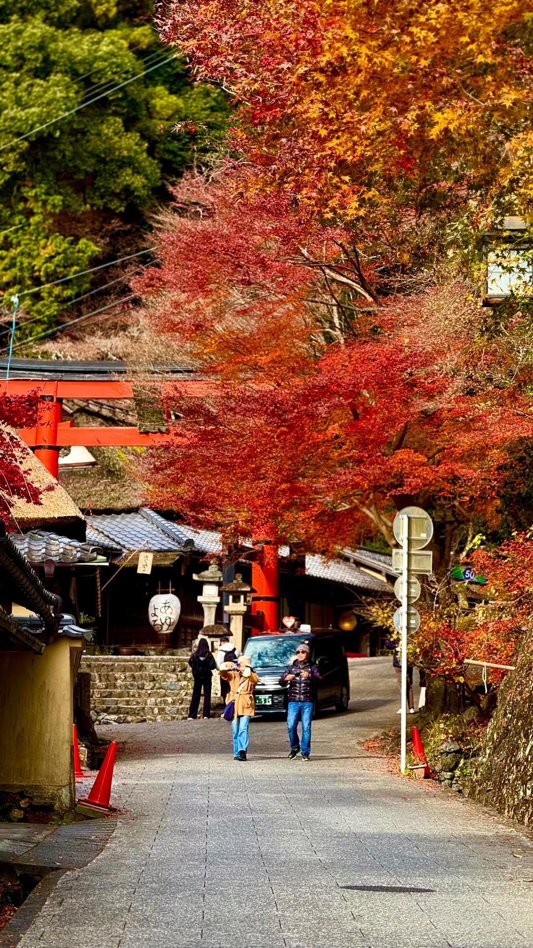 anastasiia ✈ world travel, Adashino Nenbutsu-ji