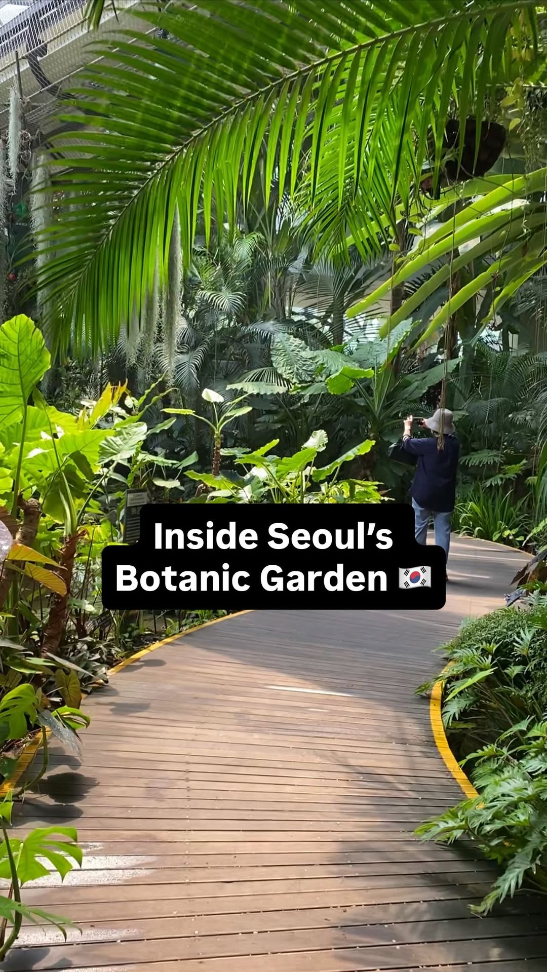Things to Do in Korea • London • Hidden Gems, Seoul Botanic Park