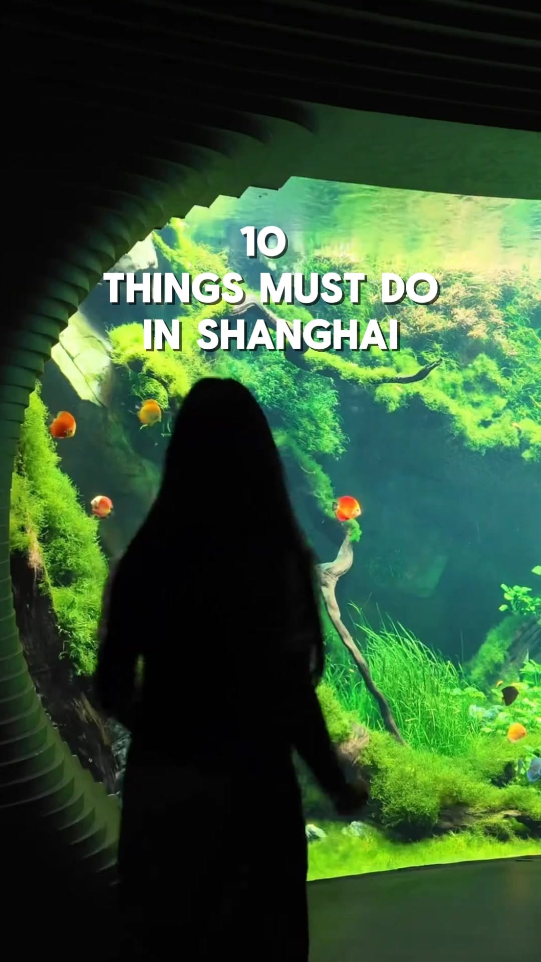 Nicole.inChina, Shanghai Tower