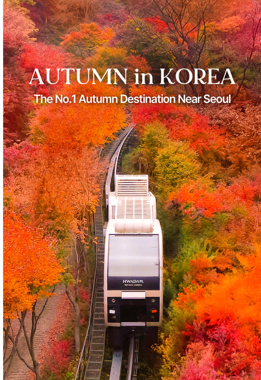 훵 - Hwung_travel🇰🇷, Hwadamsup