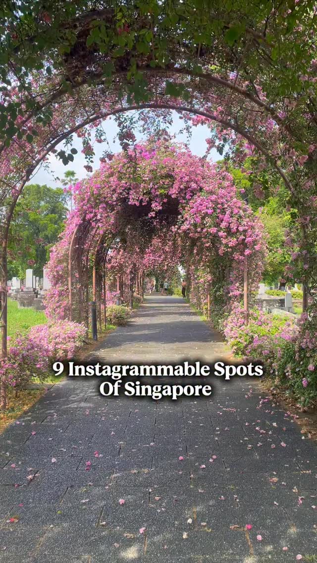 Josephine Thama| Travel & UGC Creator 🧿| Singapore, Gardens by the Bay