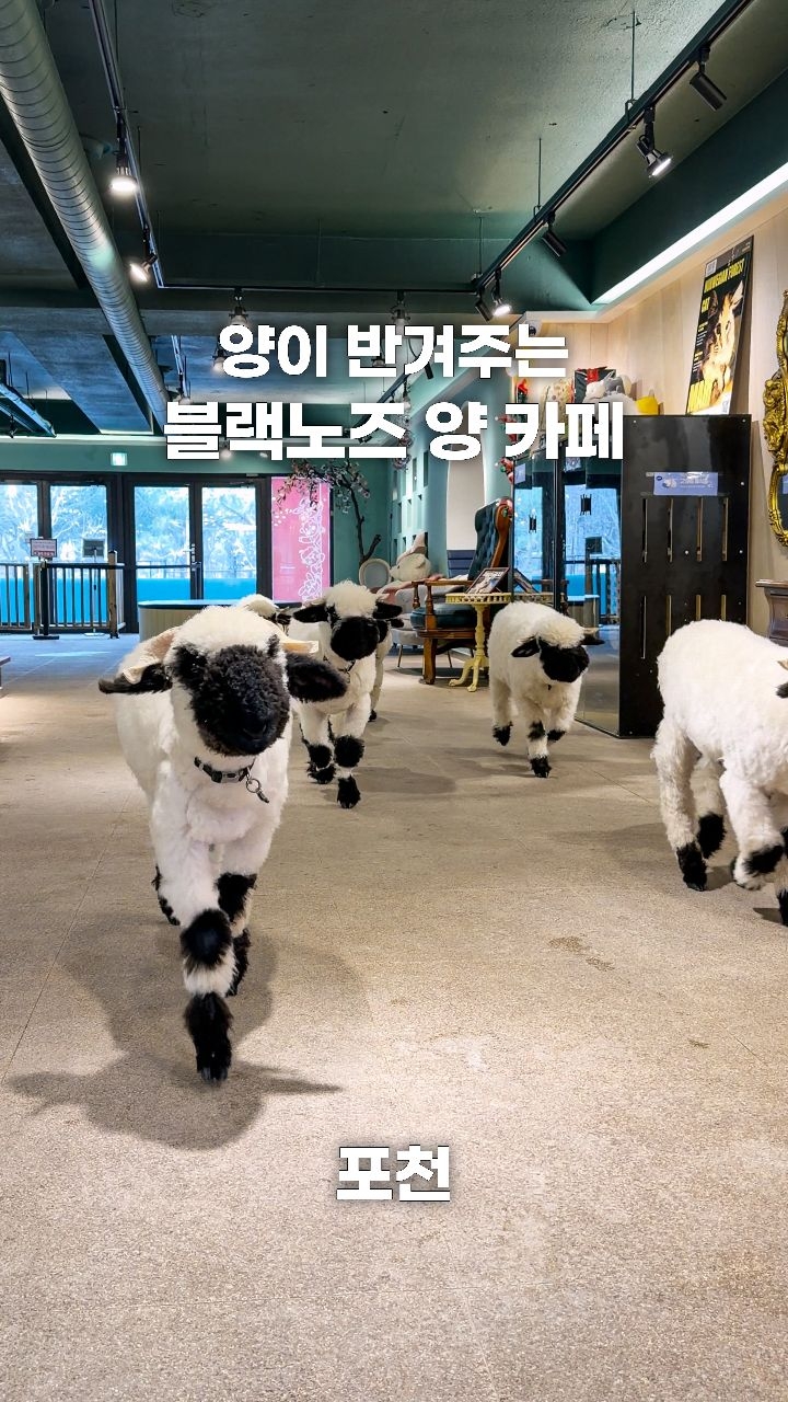 가보자곰, Pyunggang Land