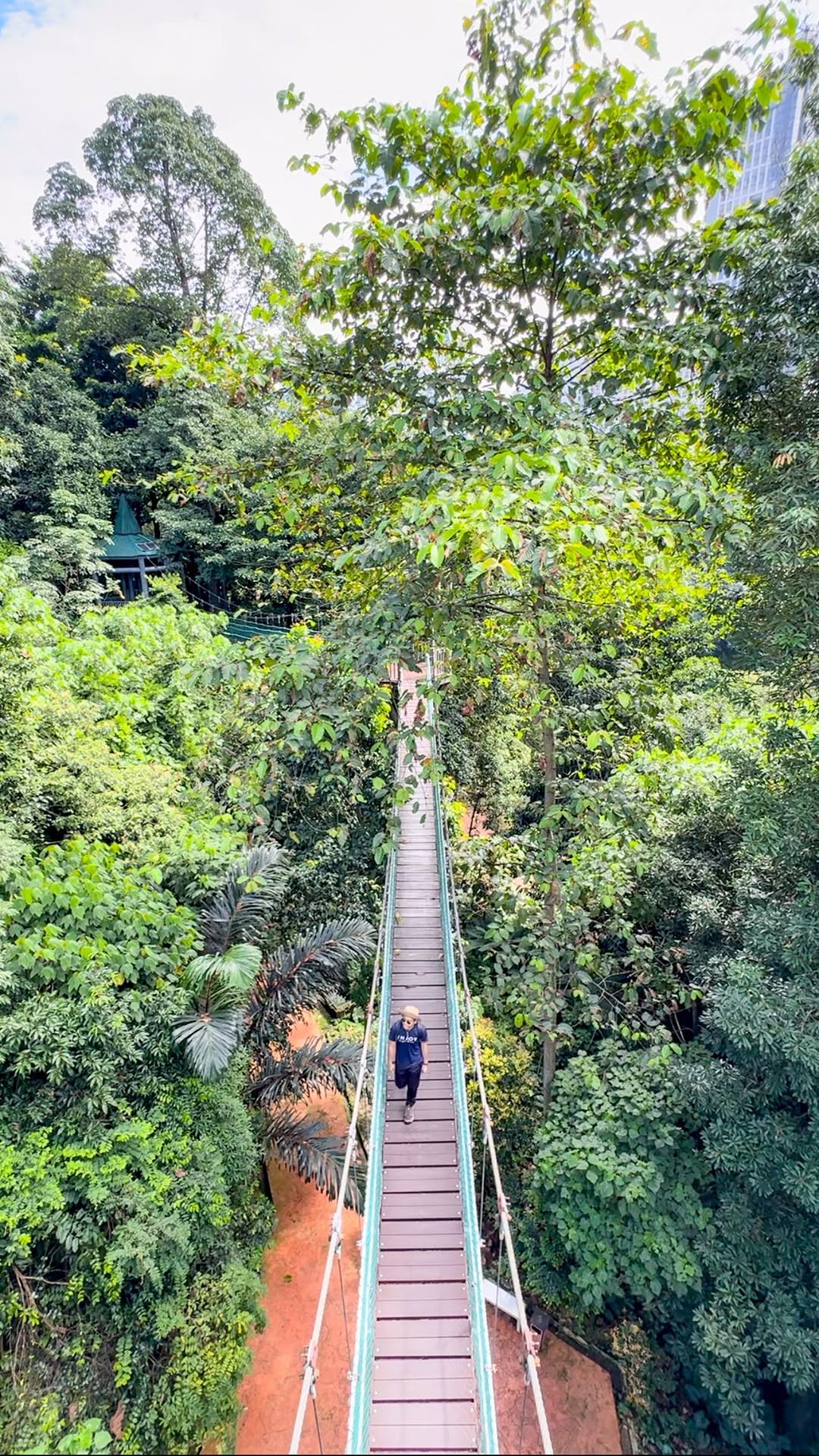 Visit KL, Bukit Nanas Forest Reserve