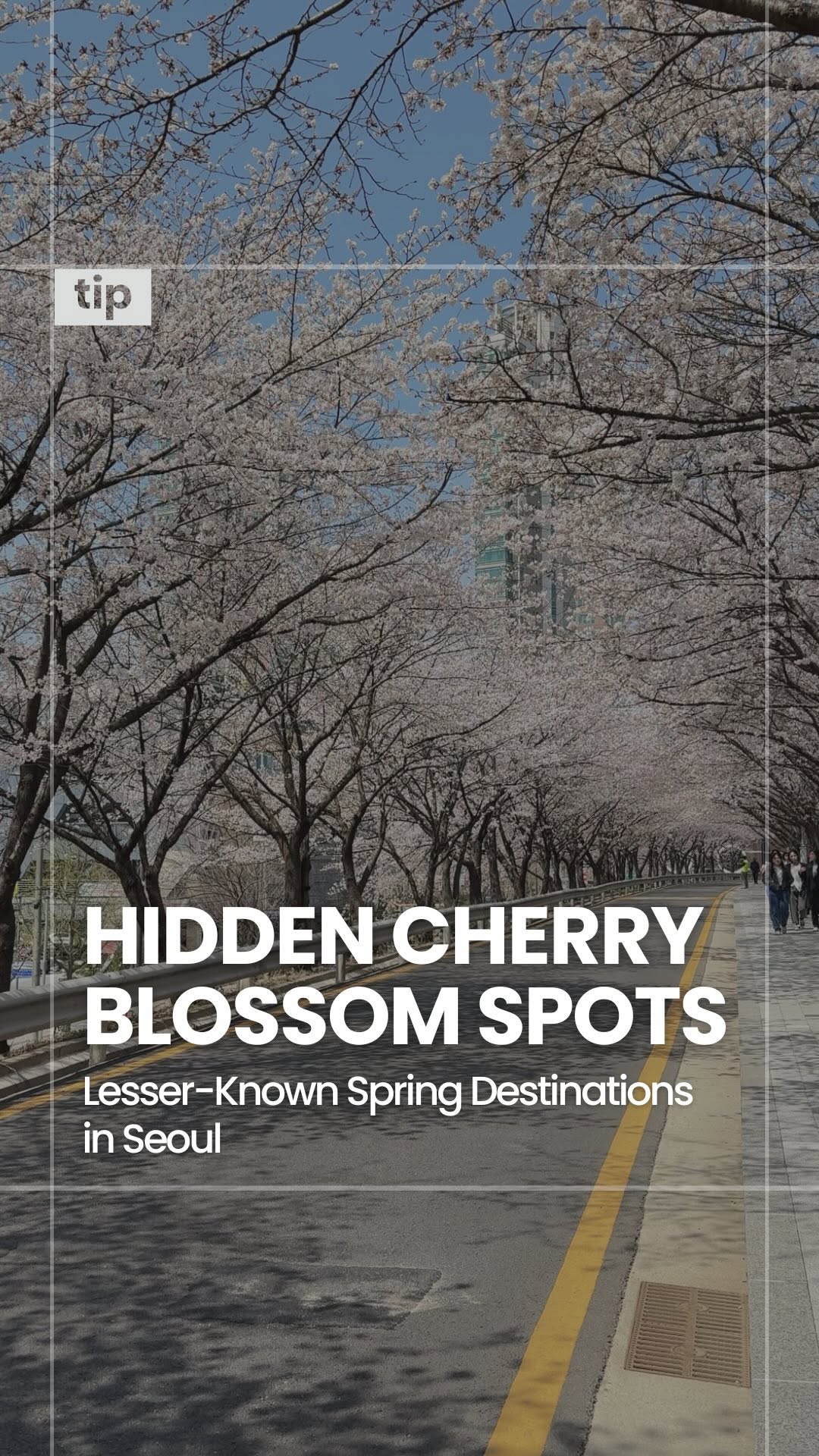 Korea Insider, Boramae Park