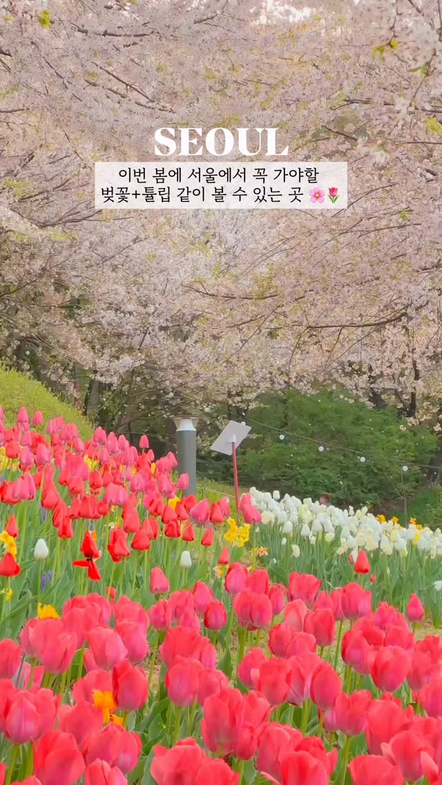 수정필름, Ansan Jarak-gil Trail