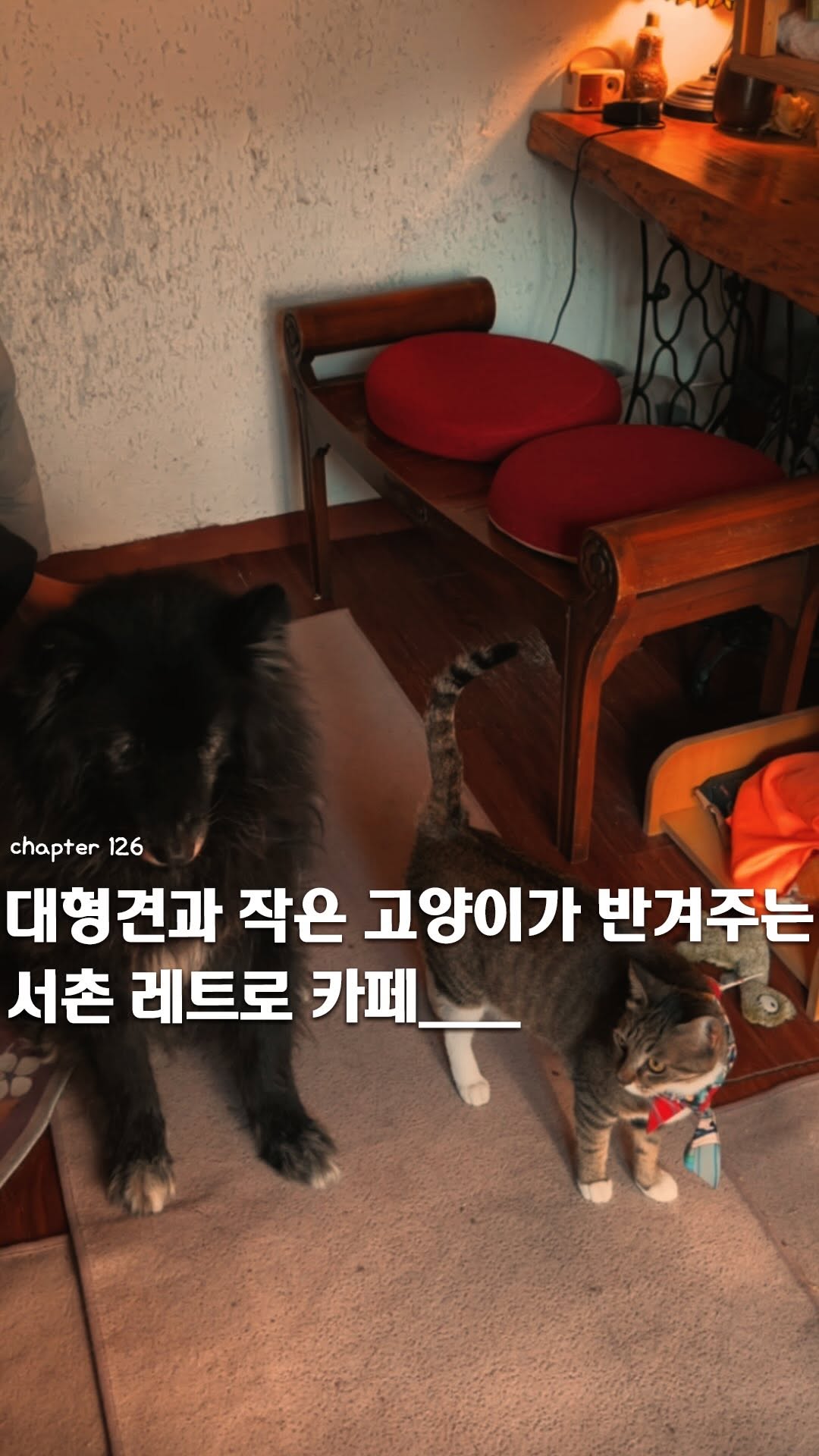 이음 | 카페 • 공간, Seochon Hanok Village