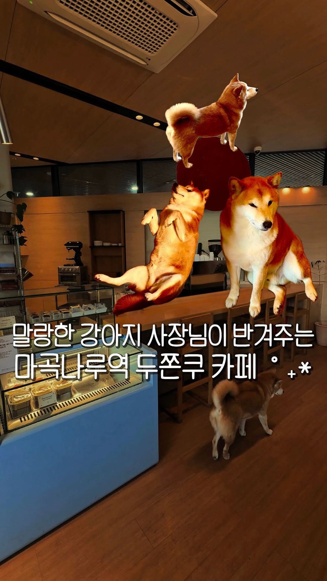 네모 ▫️ 카페  공간  맛집, 어로드사이드카페