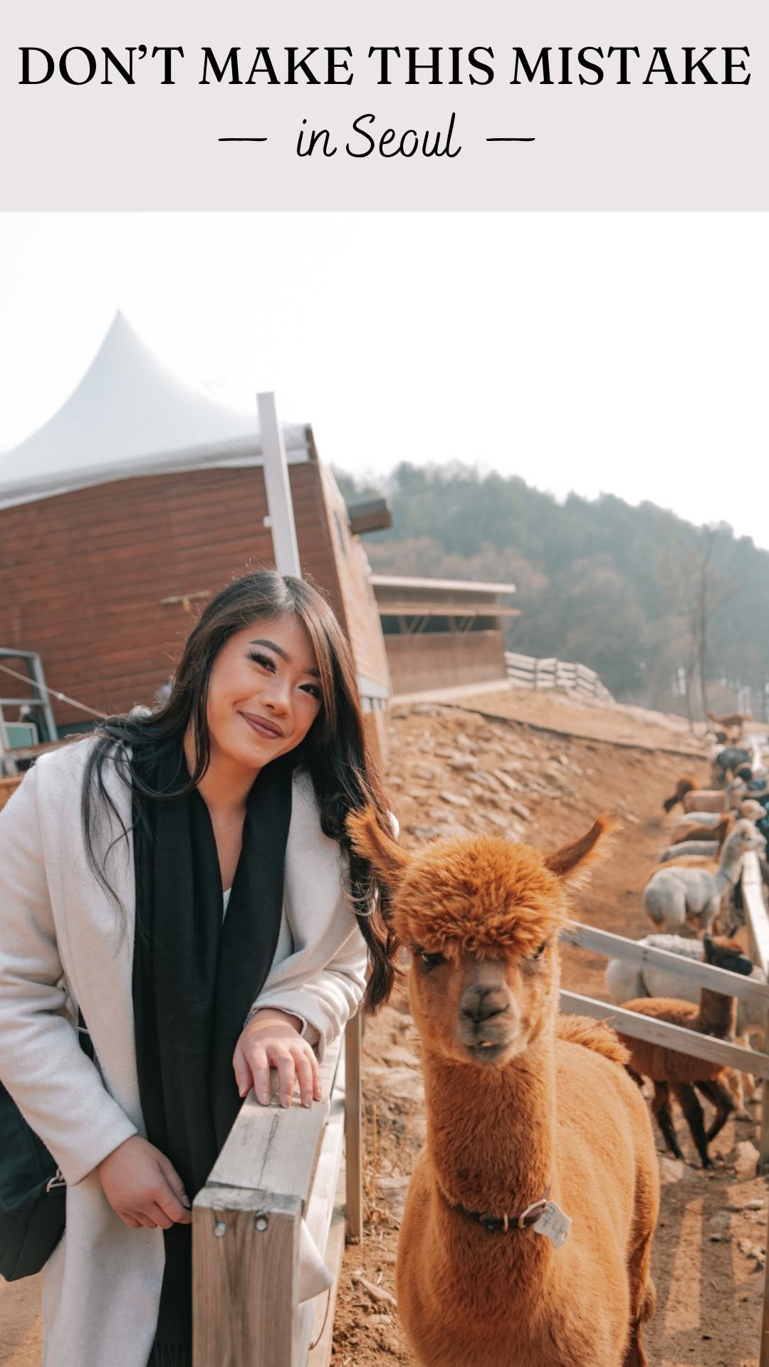 Angelia & Chris Wong | USA Travel Couple, Seoul