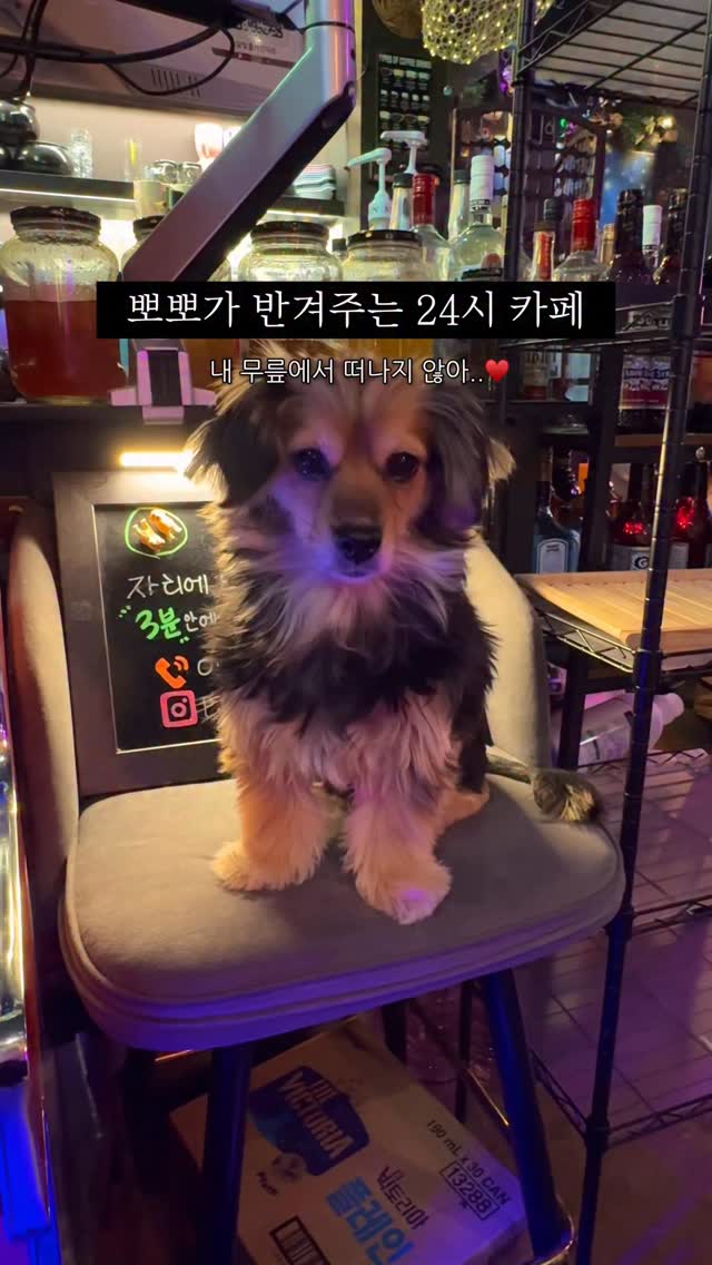 유지혜 | 팝업 맛집 여행 카페, Yongsan Haebangchon Village