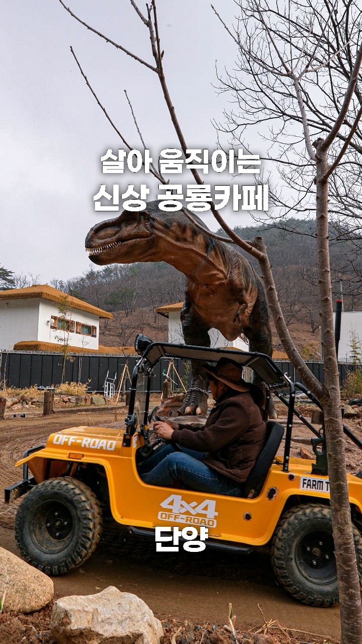 가보자곰, 단양 오무아무아 풀빌라