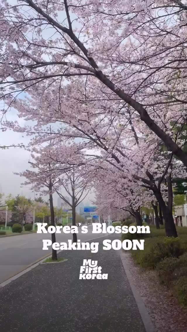 Myfirstkorea, Seomjin River
