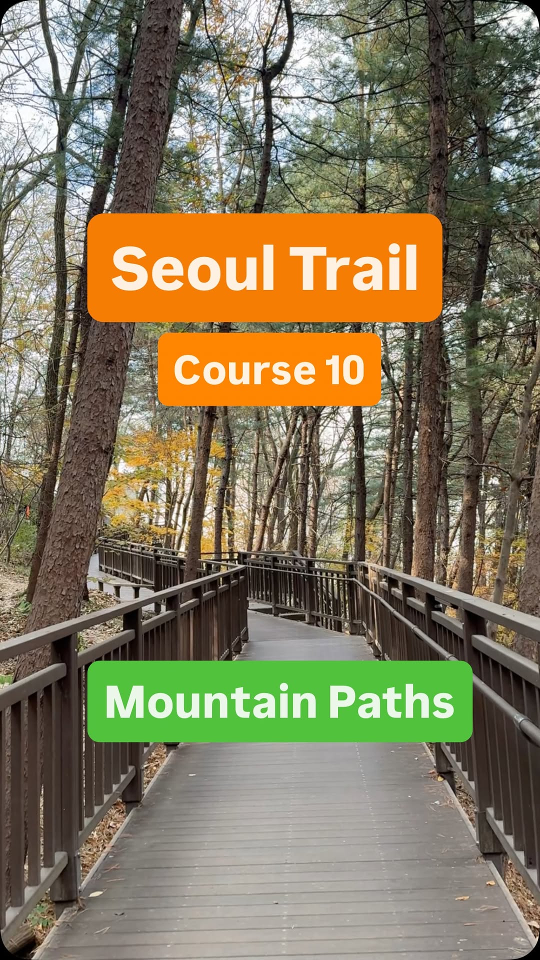 Daniele/Expat Travel Vlogger, Seoul City Wall Trail