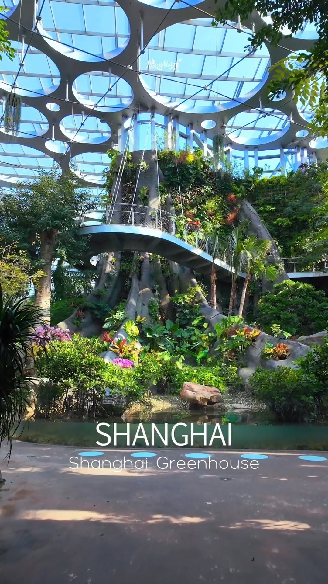 IP SHANGHAI, Shanghai Botanical Garden