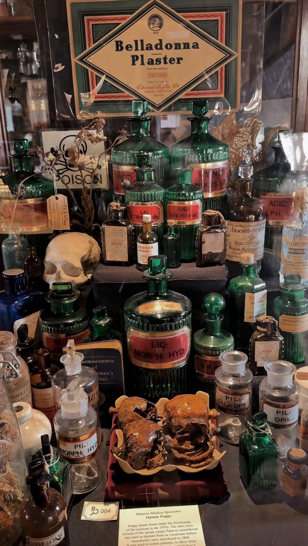 Kylie, The Old Operating Theatre Museum and Herb Garret